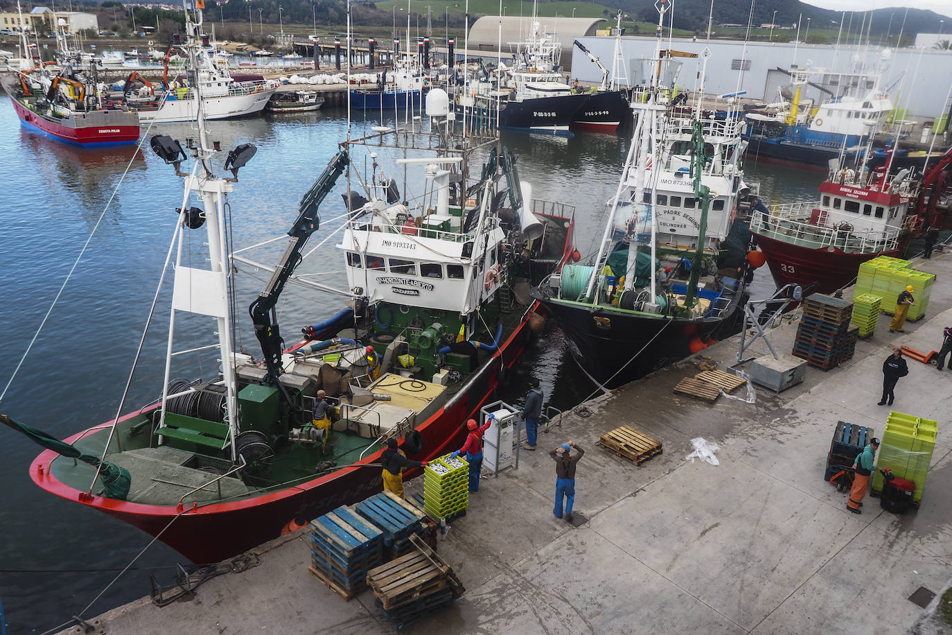 Los puertos de Santoña y Laredo reciben el bocarte