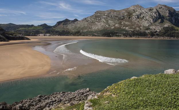 SEO BirdLife intervendrá en las dunas de Oriñón para garantizar su conservación