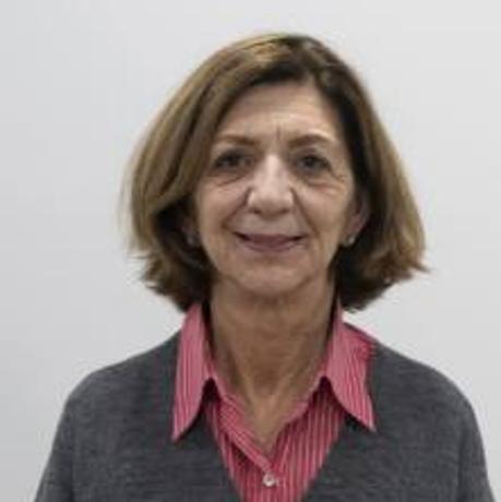 La responsable socialista de Medio Ambiente dimite y pide a Zuloaga que rechace la norma