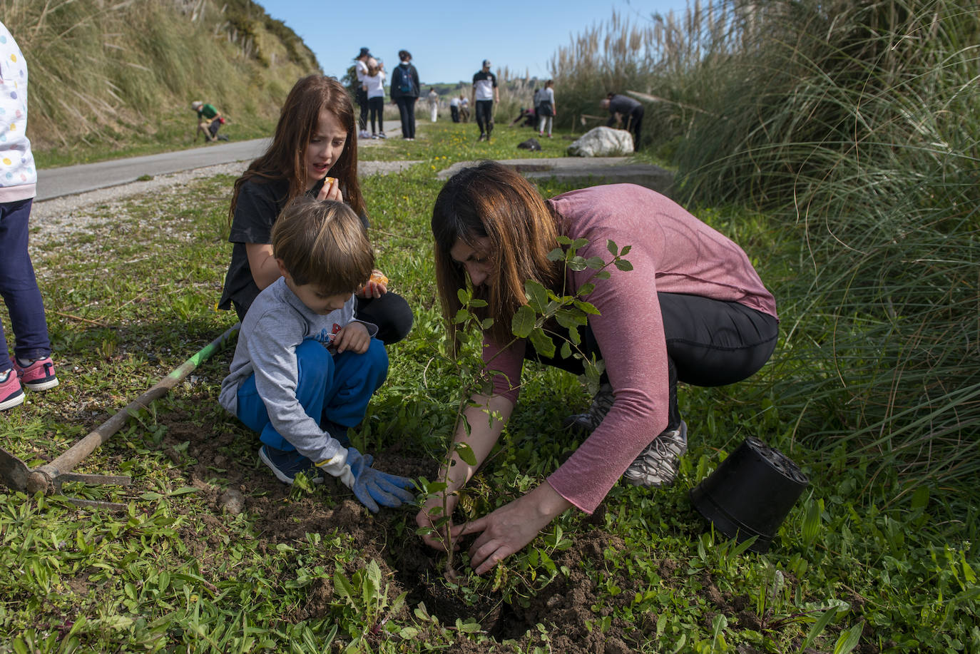 Reforestación en común