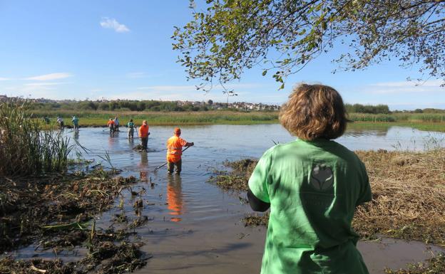 Camargo creará un plan para ampliar la Marisma de Alday y evitar inundaciones