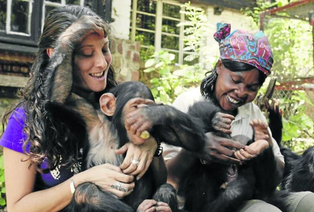 «En Cantabria cada vez se producen más y mejores trabajos audiovisuales»