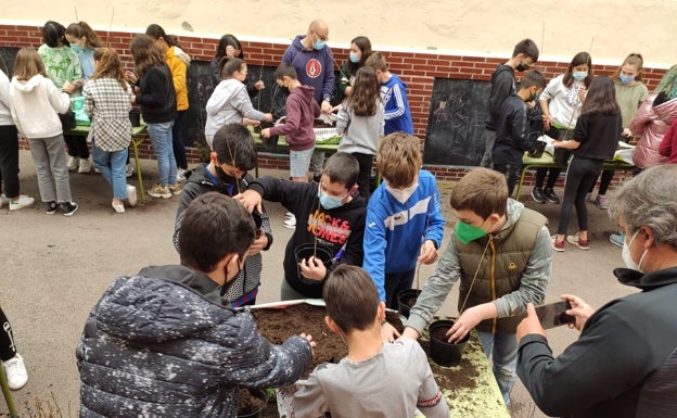 Más de 250 alumnos de Castro celebran el Día Internacional de los Bosques trasplantando árboles de especies autóctonas