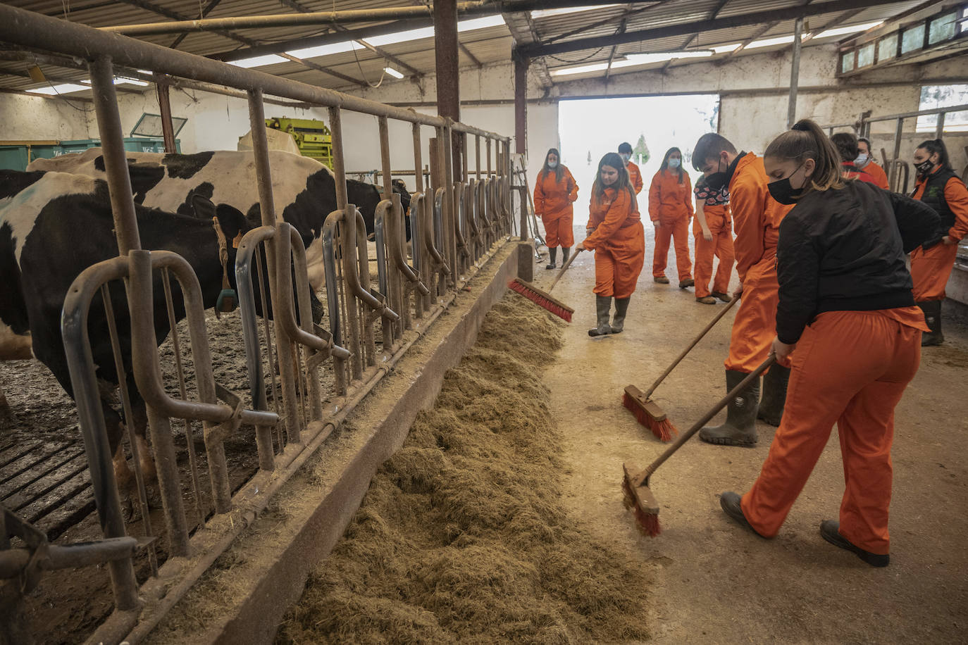 El Centro Integrado de Formación Profesional de Medio Cudeyo cuenta con 80 alumnos en ciclos del sector agropecuario