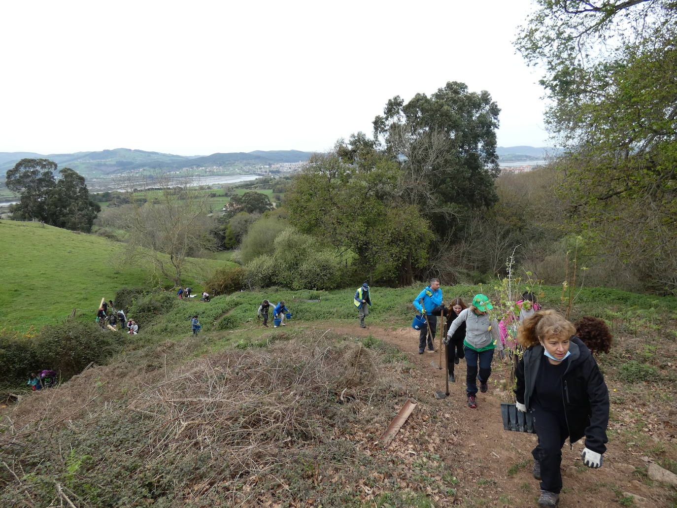 Más de 80 voluntarios han participado en Colindres en la plantación de 200 árboles de distintas especies para conmemorar el Día del Árbol