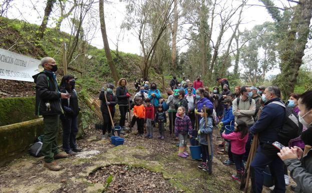 Colindres celebra el Día del Árbol repoblando un robledal