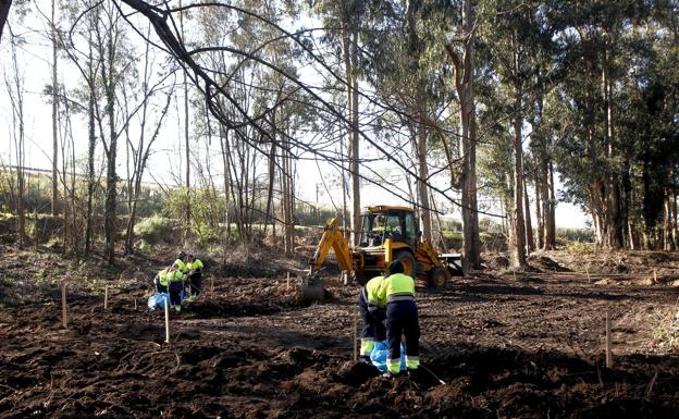 El juez rechaza el recurso de Sniace contra la expropiación de los terrenos del Patatal