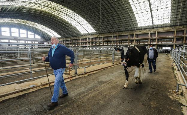 Una feria con once vacas y un ternero