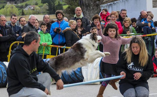 Potes celebra durante este fin de semana su undécima Feria de Caza