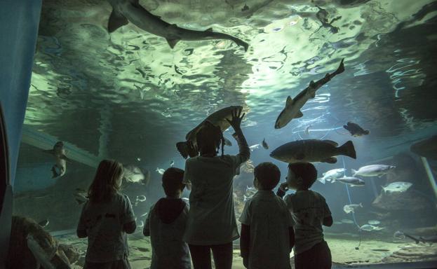 El Museo Marítimo busca grumetes para las vacaciones de Semana Santa