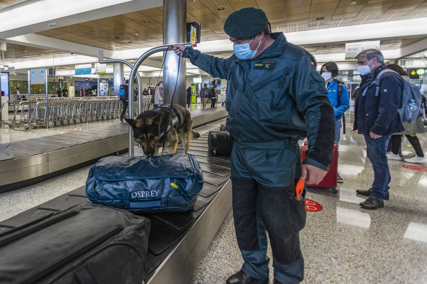 Homer, el nuevo guardia civil de cuatro patas del Seve Ballesteros