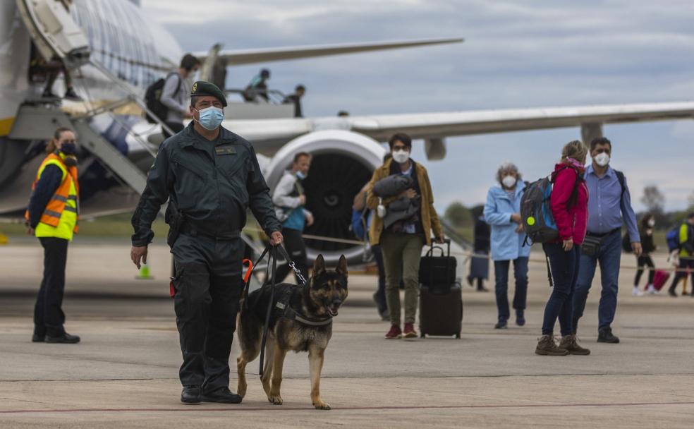 El nuevo guardia civil del aeropuerto tiene cuatro patas y se llama Homer