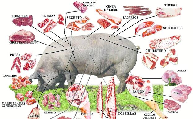 ¿Sabes en cuántos cortes se puede despiezar la carne de un cerdo?