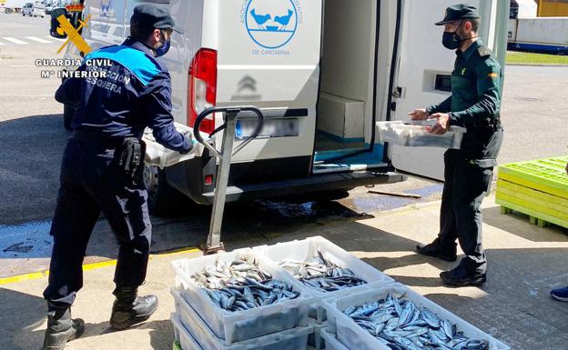 'Pescado' sin justificante de compra con más de 160 kilos de merluza y chicharro en Santander