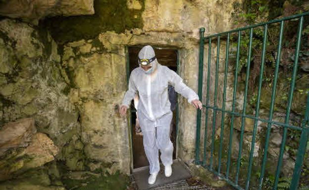 Descubren que la puerta de la Cueva de Altamira ayuda a conservar las pinturas