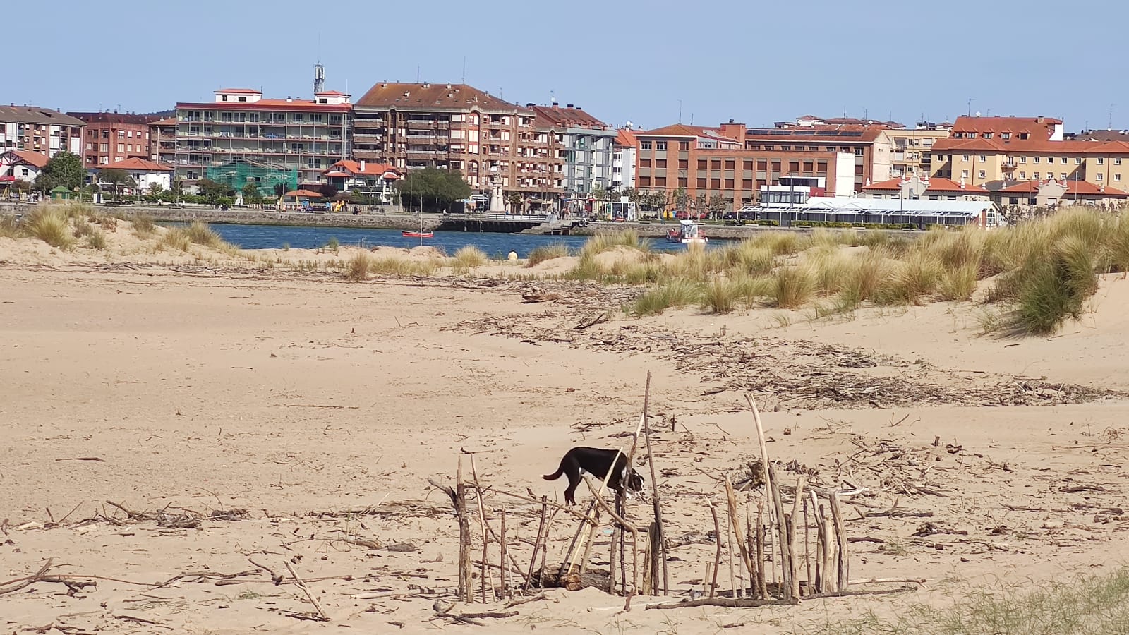 Así está la playa Salvé estos días de Semana Santa