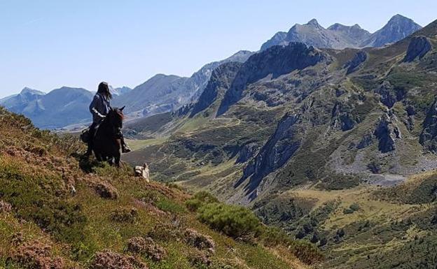 Rutas a caballo por la montaña recorriendo el Parque de Redes