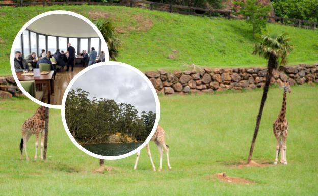 Naturaleza a un paso de Santander