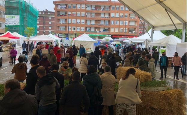 Gran afluencia en la Feria del Tomate de Bezana a pesar de la lluvia