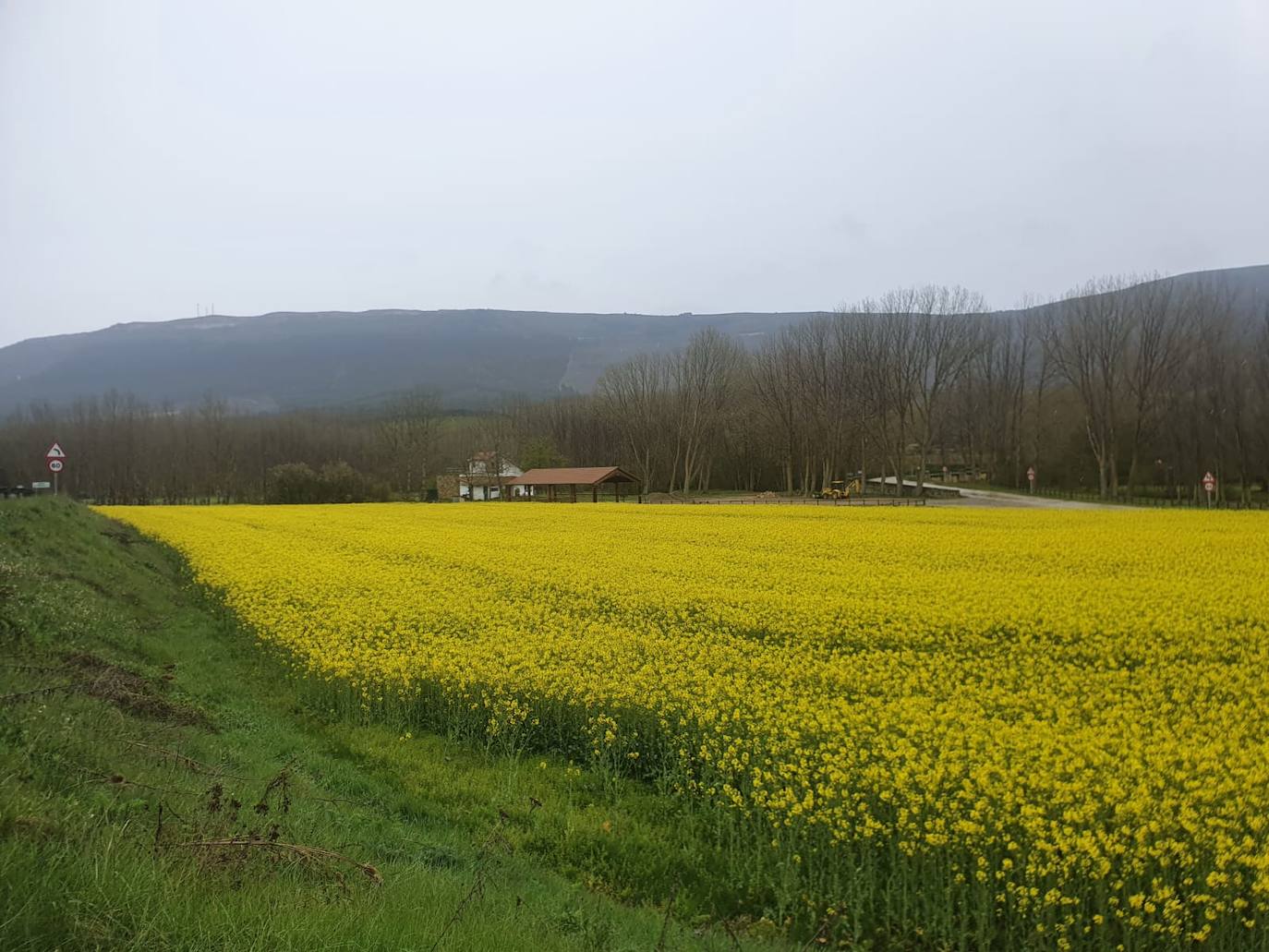 Los campos de oro de Valderredible