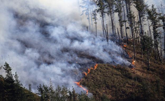 Los incendios forestales de Cantabria han quemado este año el equivalente a 7.140 campos de fútbol