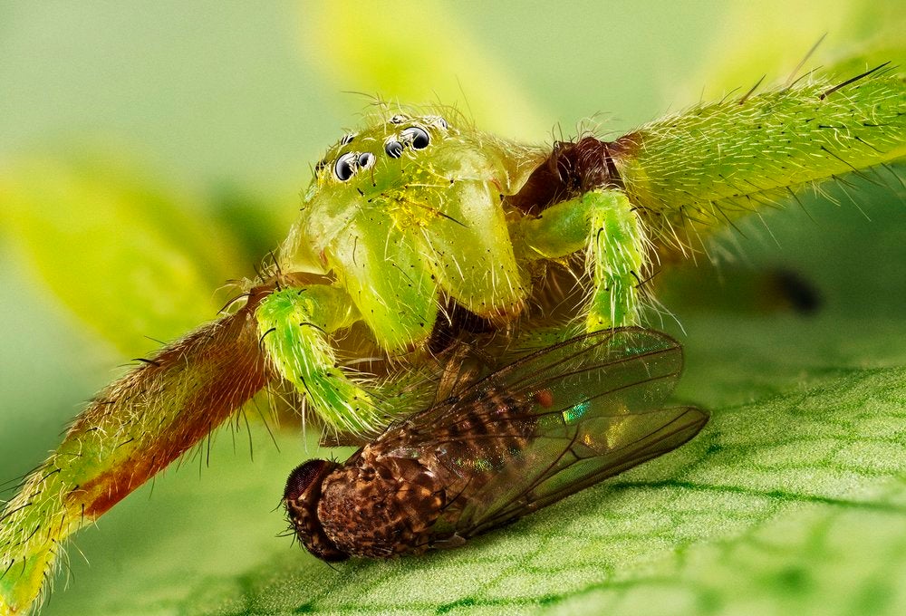 Las mejores fotos de naturaleza del 2021