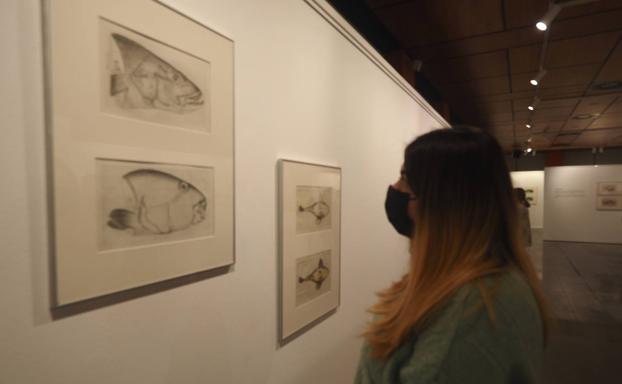 La Agenda Cultural Primavera 2022 UC oferta más de 50 propuestas