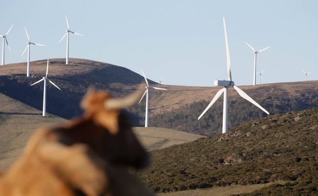 Campoo de Enmedio y Campoo de Yuso, los más demandados por las empresas eólicas