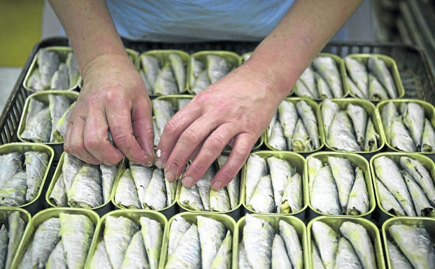 ¿Sabes que los países más longevos son los que más pescado consumen?