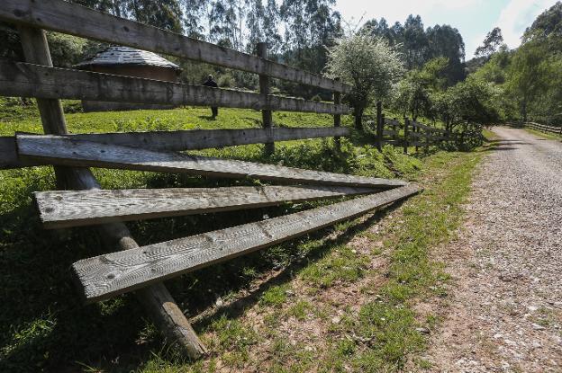 Las rutas del Dobra sufren graves daños por falta de mantenimiento