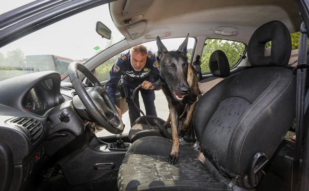 La unidad canina de la Policía Local realiza sus primeras detenciones