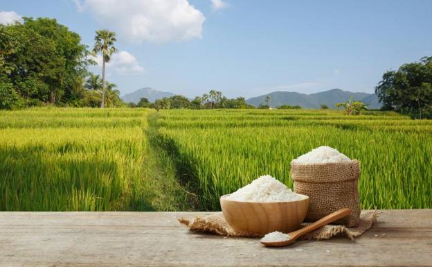 Ingrediente modesto y protagonista de grandes platos