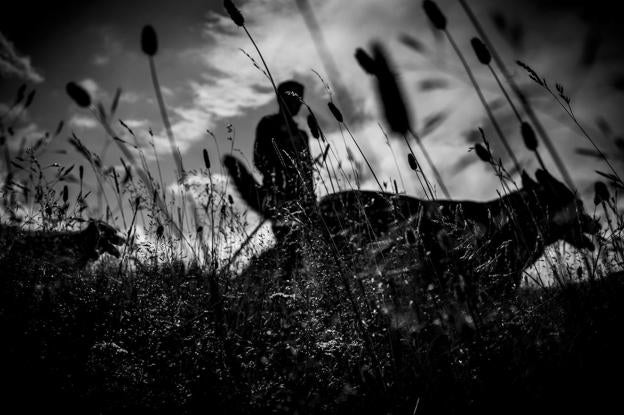 La fotografía y el lobo, en la Fundación Caja Cantabria