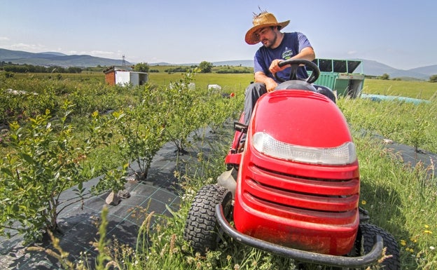 Campoo de Yuso impulsa un proyecto sobre agricultura de montaña y juventud