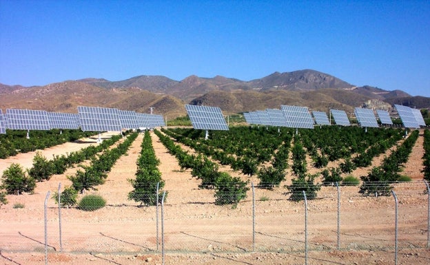 ¿Hay tierra suficiente para cultivos, ganadería y placas solares?