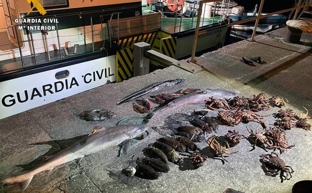 Intervenida en Val de San Vicente una gran red para la pesca furtiva con marrajos, centollos y cachones