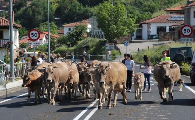 Tama celebra mañana la fiesta de San Isidro Labrador