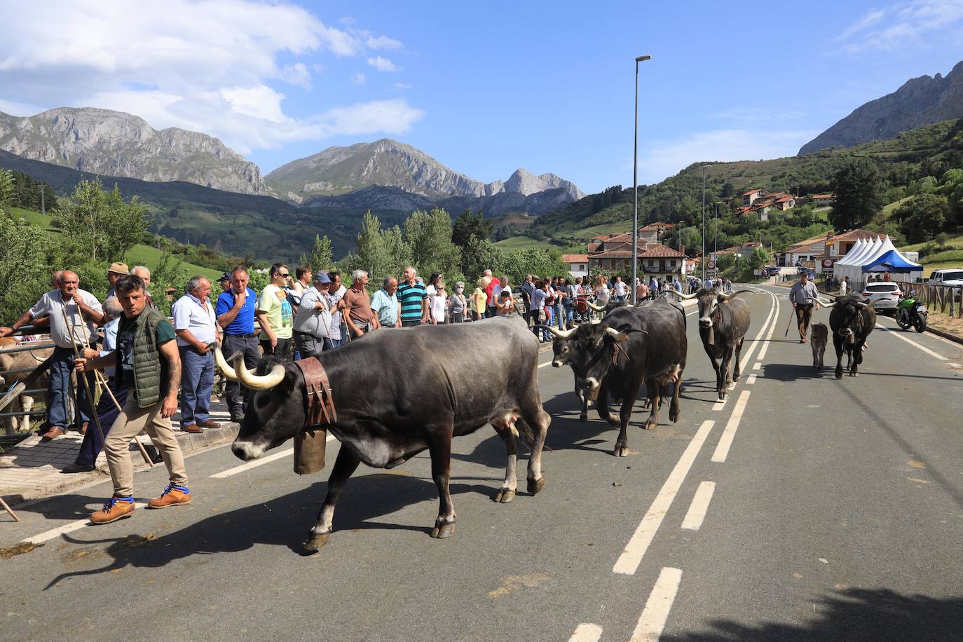 Liébana celebra San Isidro