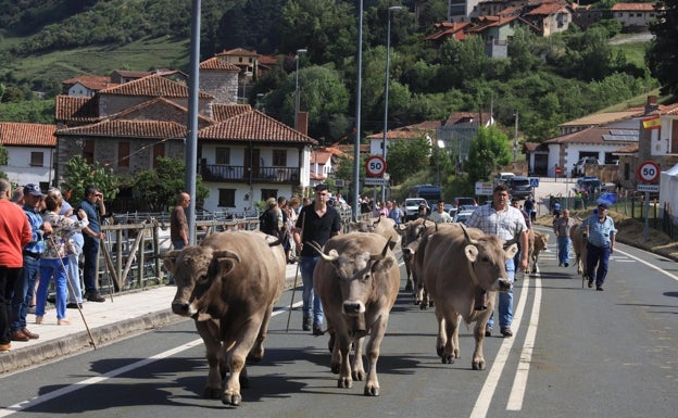 Ganaderos y agricultores recuperan ferias y festejos para celebrar San Isidro