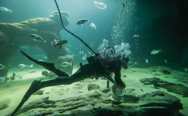 Cantabria celebra 'el poder de los museos' para cambiar el mundo