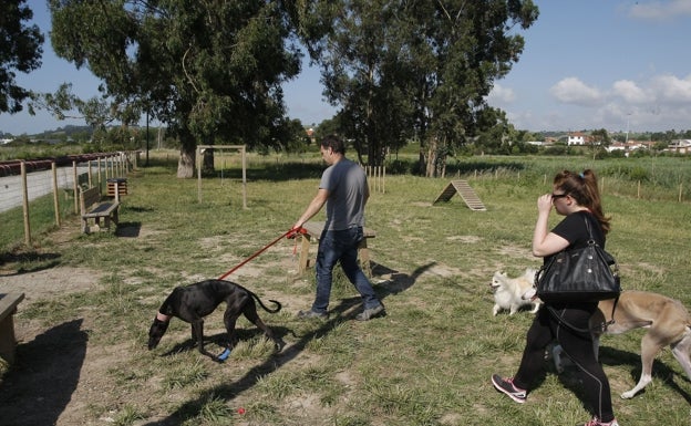 Somos Riotuerto convoca un paseo por el municipio con animales de compañía