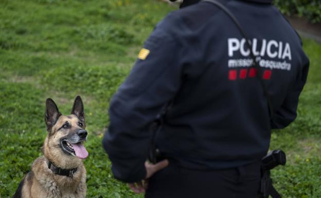 Muere ahogado un niño de nueve años en Barcelona
