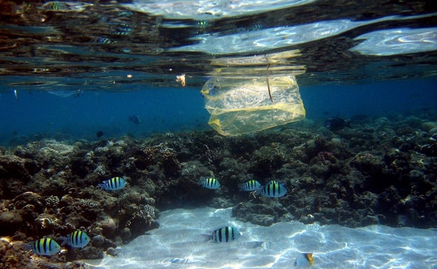 Cada minuto, un camión lleno de plástico 'descarga' sobre el mar