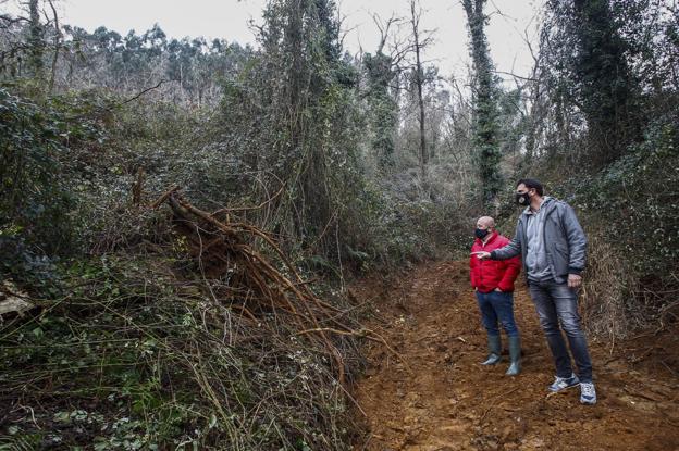 Torrelavega y Cartes ponen fin a su enfrentamiento por una tala de árboles