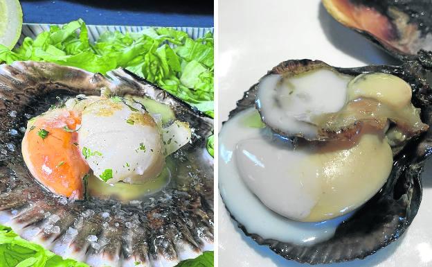 ¿Zamburiñas? ¡Pero si en realidad lo que tomamos son volandeiras!