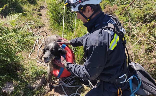 Los bomberos rescatan a un perro que cayó por una sima de 10 metros en el Monte Dobra