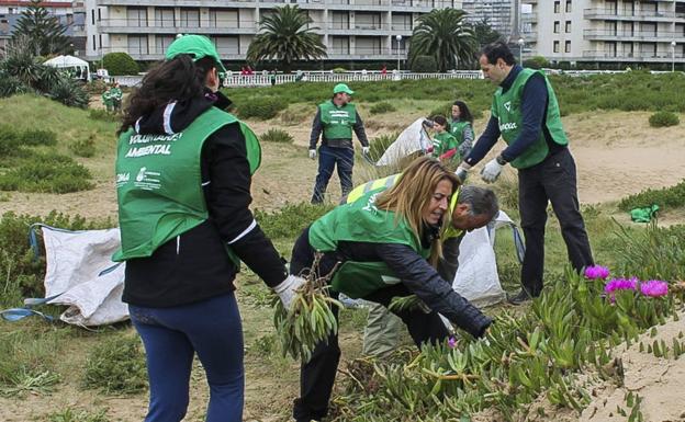 Cantabria sin plantas invasoras