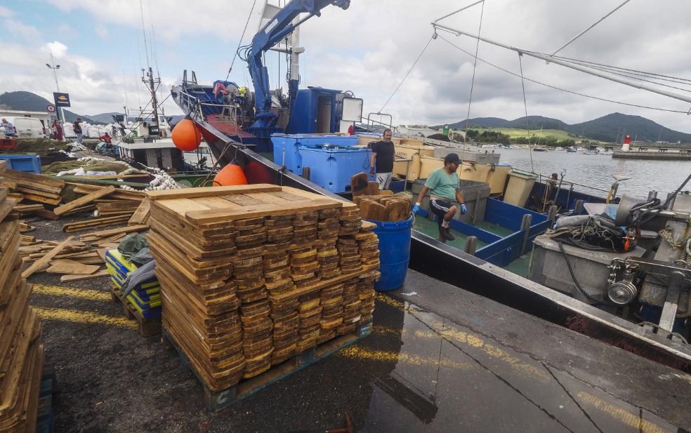 La flota se arma para la costera del bonito