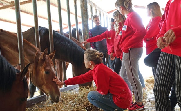 La Mancomunidad Reserva del Saja inicia una Escuela de Talento Joven sobre el manejo del caballo