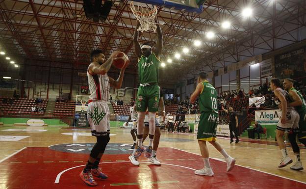 El Alega Cantabria pide apoyo a los aficionados para llenar el Vicente Trueba en su debut en LEB Oro